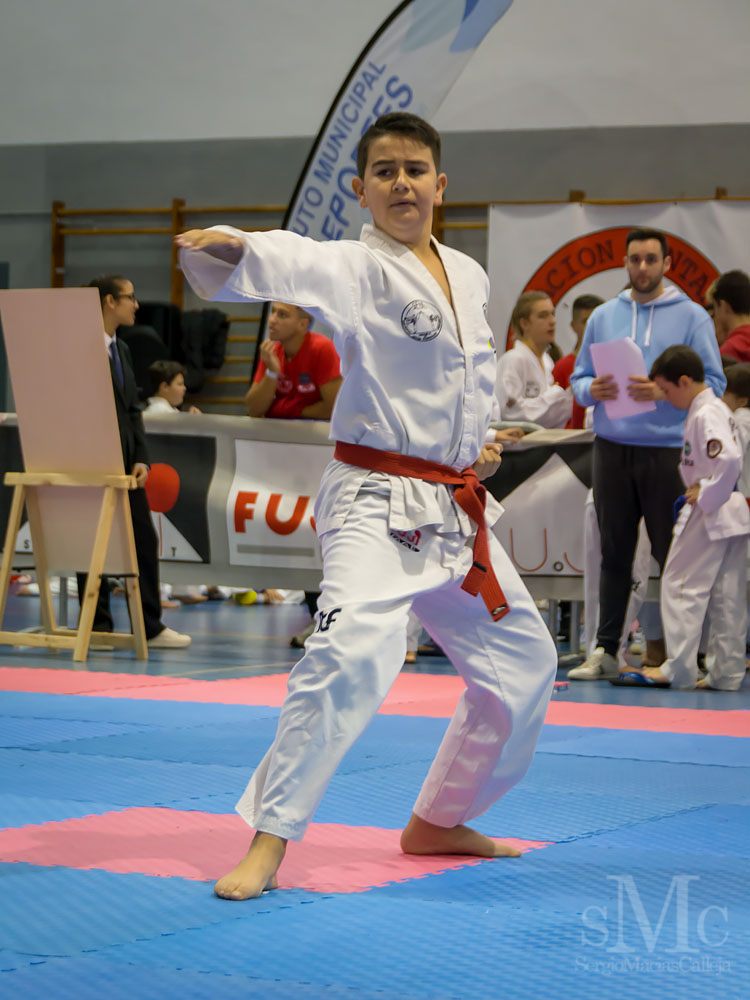 Copa Seul 2018 (130).jpg